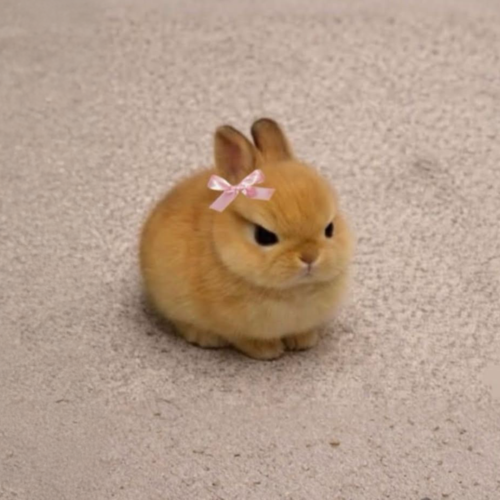 NIKI